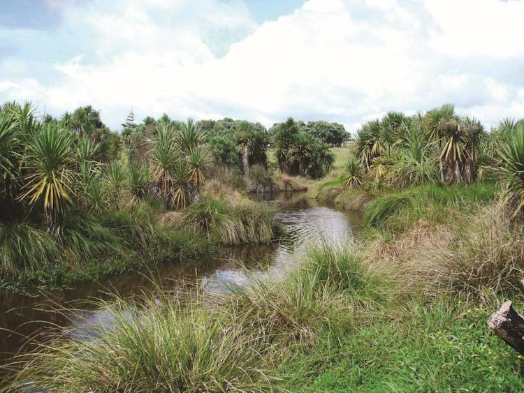 Riparian and Native Planting